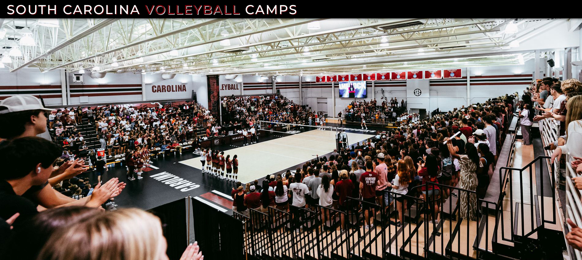 University of South Carolina Volleyball